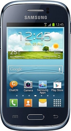 Samsung Galaxy Young (odnowiony)