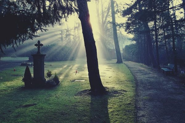 Wszystkich Świętych 2016: Aplikacja pomoże Ci zlokalizować grób