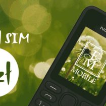 Nokia 130 Dual SIM w FM Group Mobile