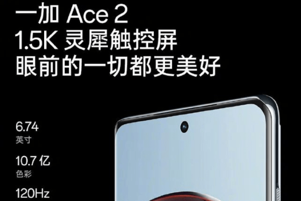 OnePlus Ace 2 ekran