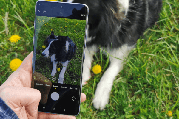 zdjęcie przedstawiające smartfona Redmi Note 13 Pro+ fotografującego psa na trawie