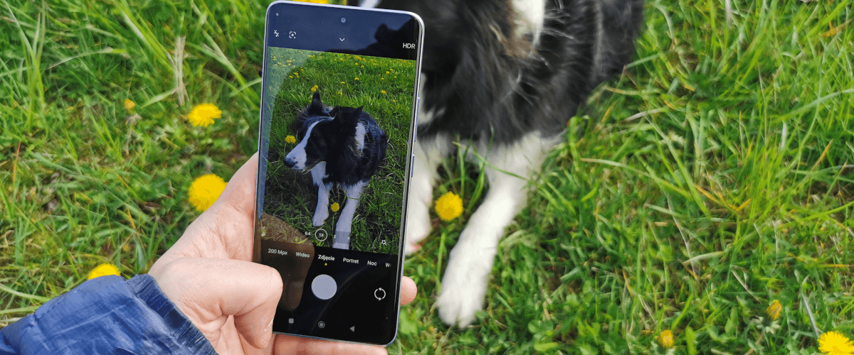 zdjęcie przedstawiające smartfona Redmi Note 13 Pro+ fotografującego psa na trawie