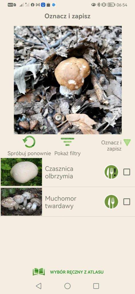 aplikacje do rozpoznawania grzybów