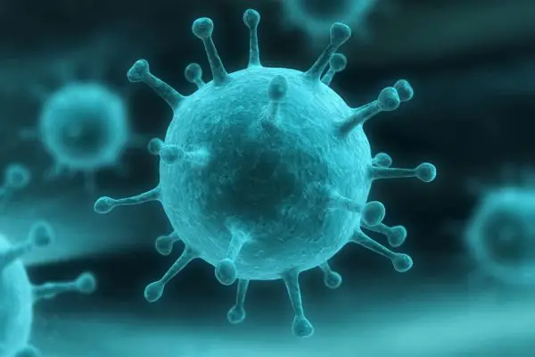 Virus