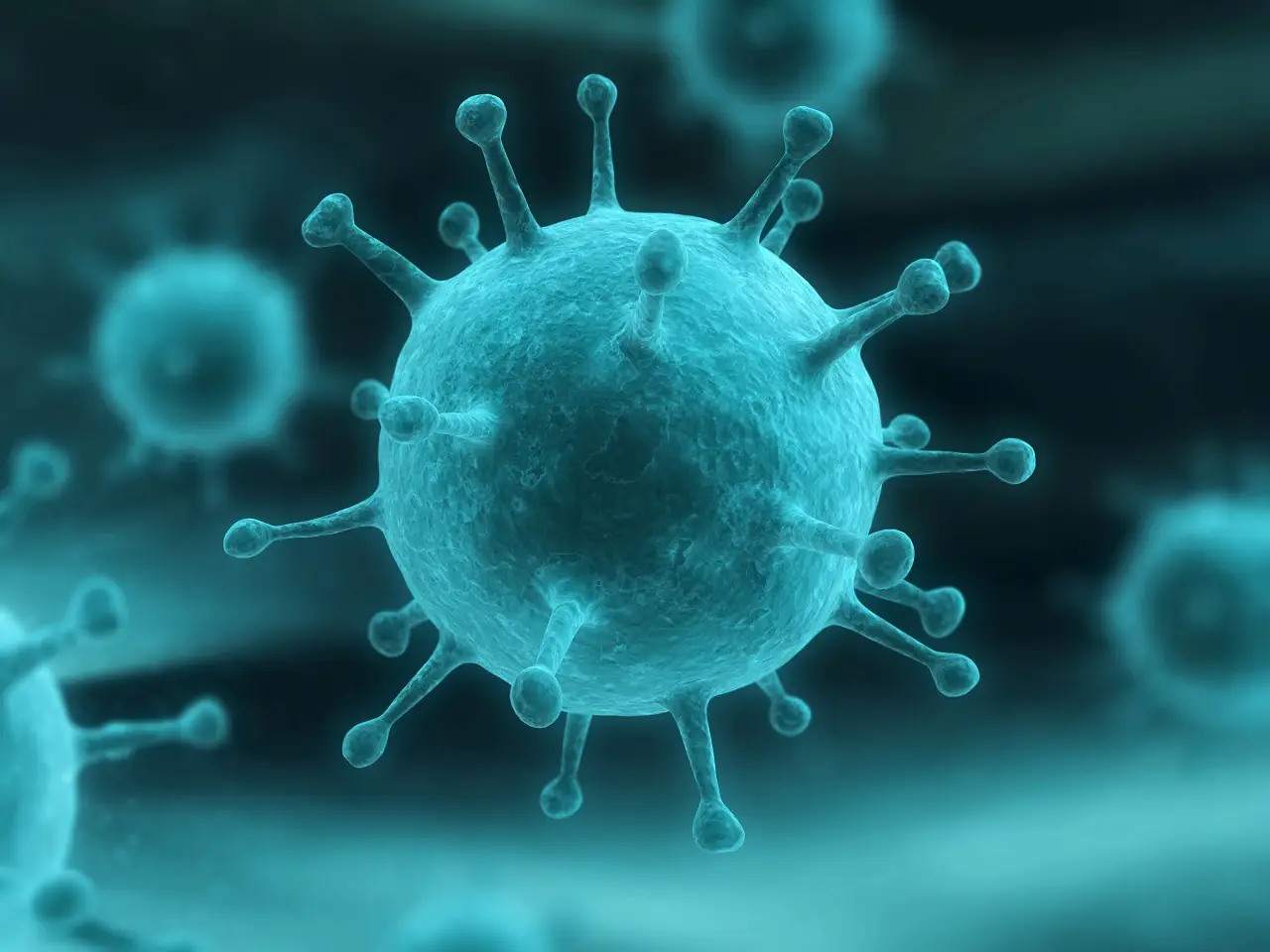 Virus