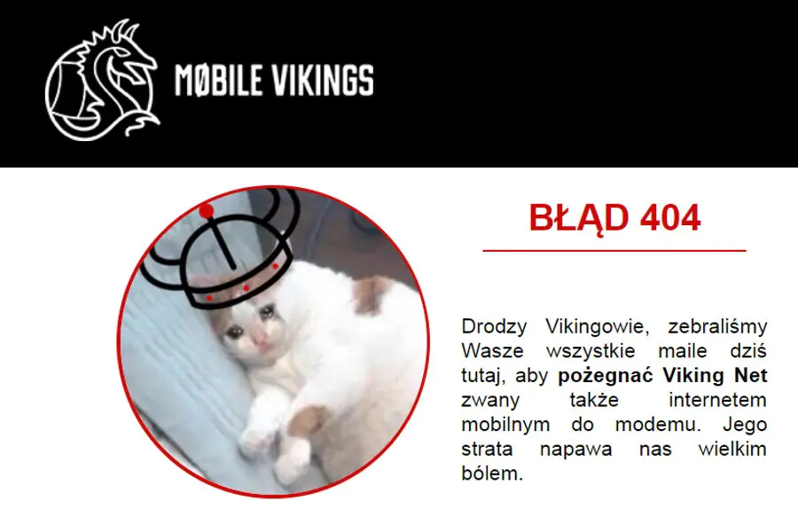 Viking Net