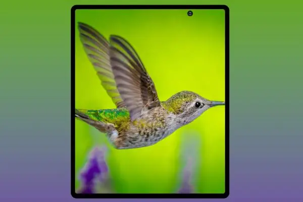 Samsung Galaxy Fold2