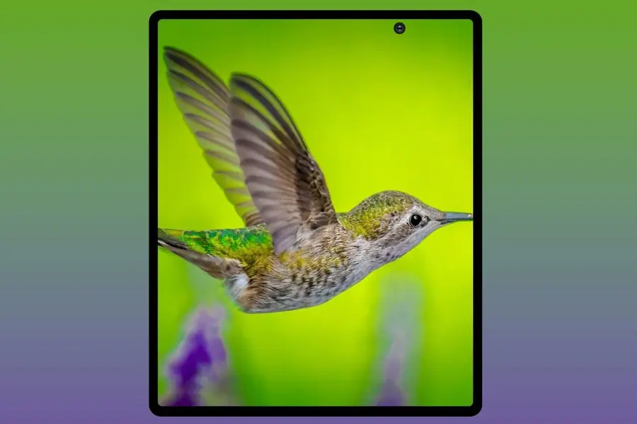 Samsung Galaxy Fold2