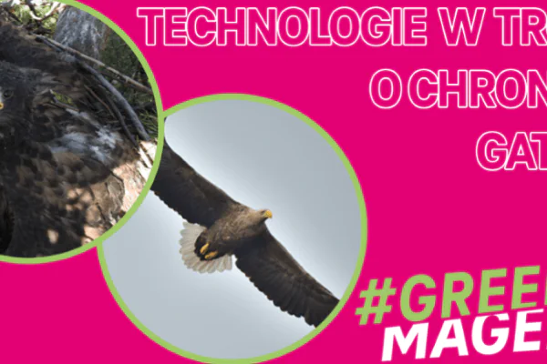 #Green Magenta T-Mobile eko