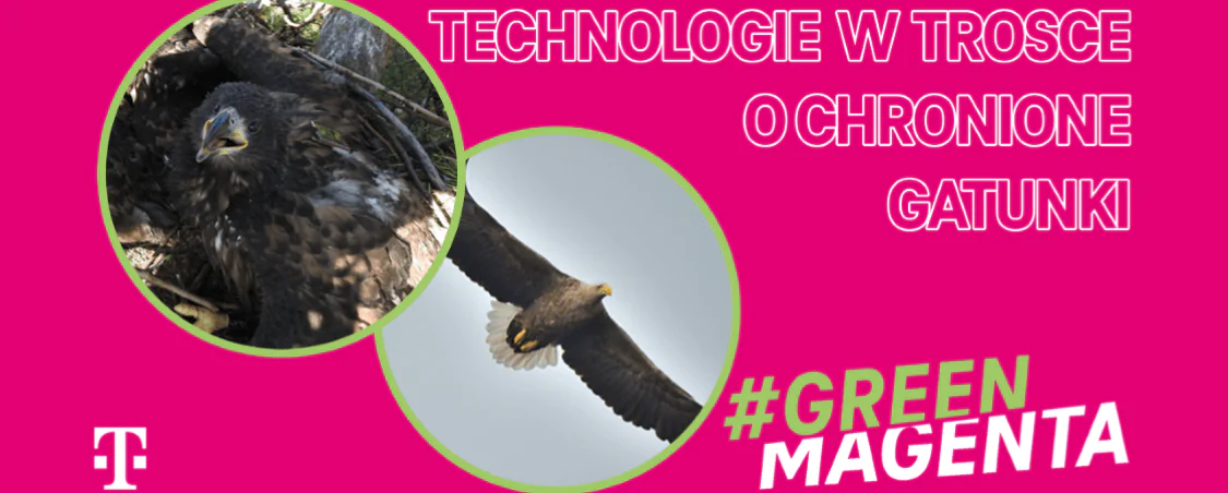 #Green Magenta T-Mobile eko
