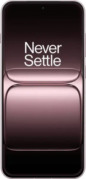 OnePlus 13S