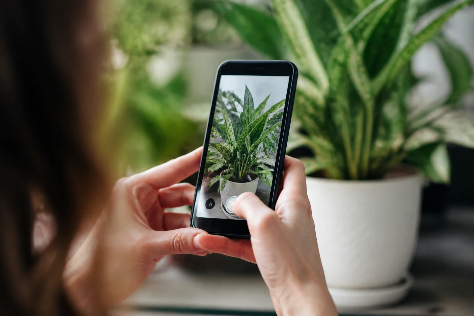Wyszukiwanie obrazem na Androidzie i iPhonie - 5 kroków od sukcesu!